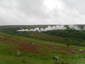 Steam Train