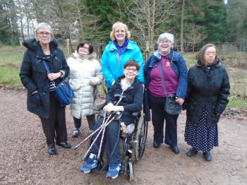 walk in The Forest of Dean