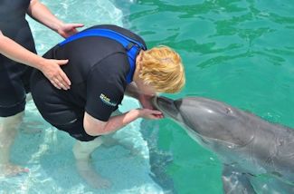 Florida 2015 - Swimming with dolphins
