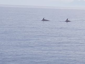 Mamma Mia Holiday, Greece 2019