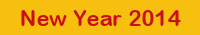 New Year 2014